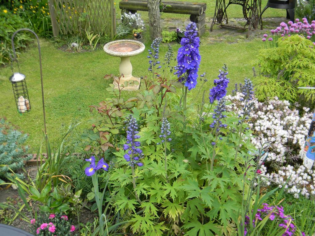 Ugiebrae House Bed & Breakfast North Sunderland Bagian luar foto
